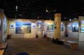 solo show ggg29